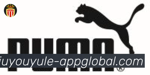 九游娱乐体育合作伙伴